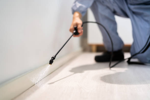 Rodent Entry Point Assessment in Carlstadt