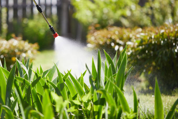 Tamper-Resistant Bait Stations for Rodents in Carlstadt