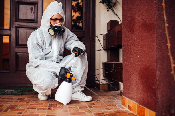 Attic and Crawl Space Rodent Treatment in Carlstadt